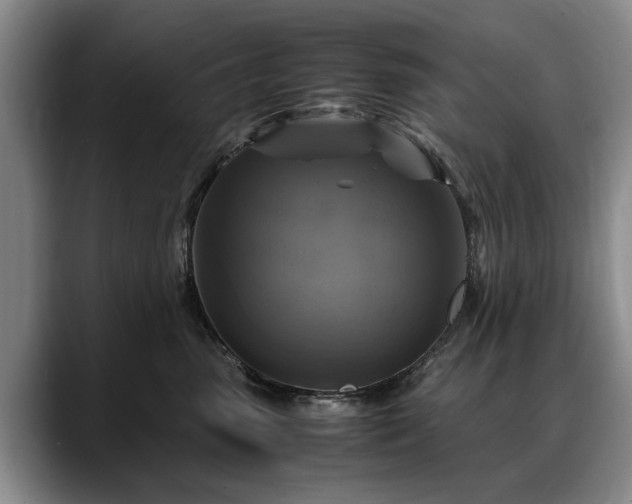 X0000088480475200705291631