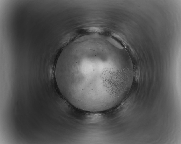 X0000088480476200705291631