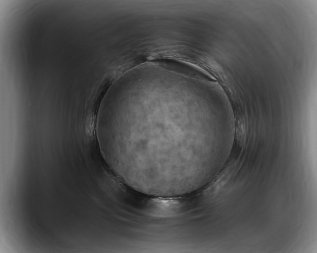 X0000088480477200705291631