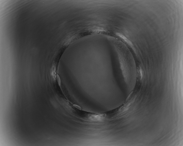 X0000088480479200705291631