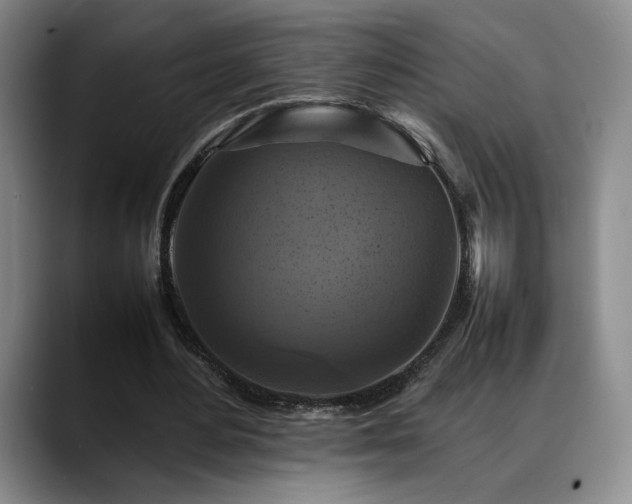X0000088480484200705291630