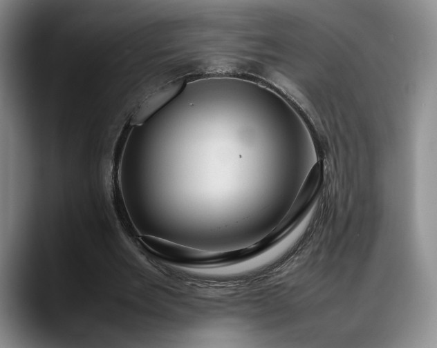 X0000088480485200705291630