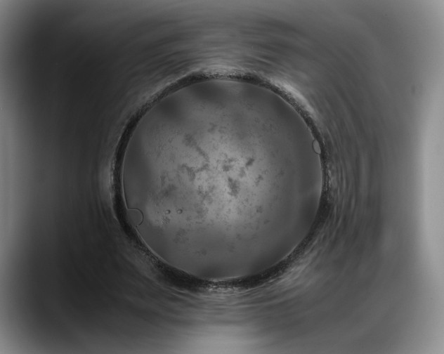 X0000088480487200705291630