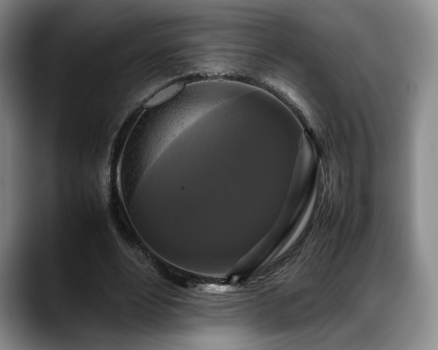 X0000088480488200705291630