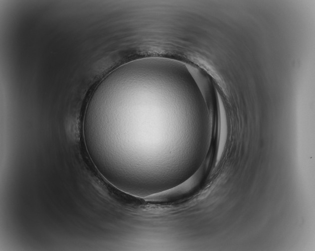 X0000088480489200705291630