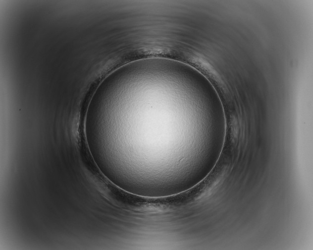 X0000088480490200705291630