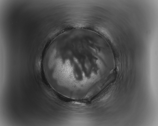 X0000088480491200705291630