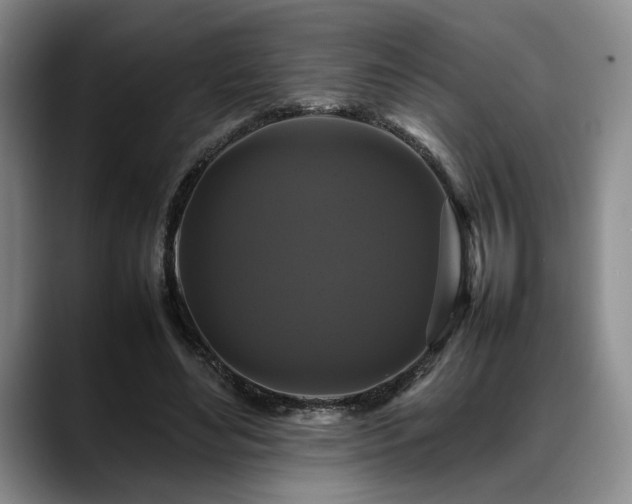 X0000088480492200705291630