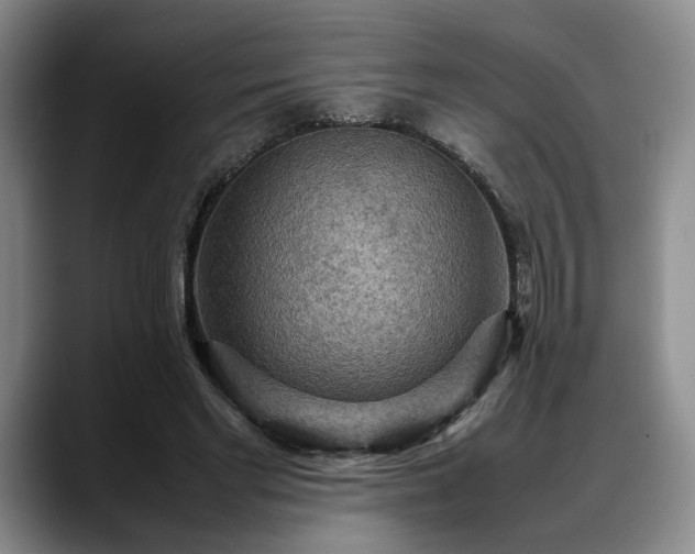 X0000088480493200705291630