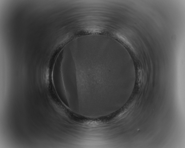 X0000088480494200705291630