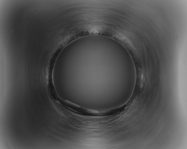 X0000088480496200705291630