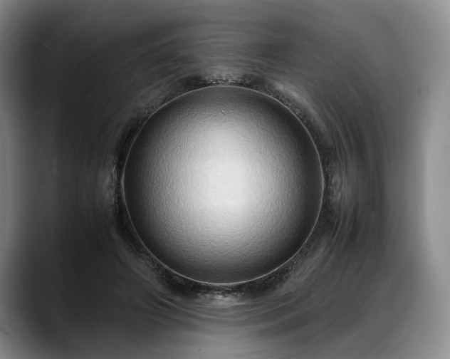 X0000088480498200705291630