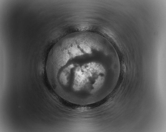 X0000088480499200705291630