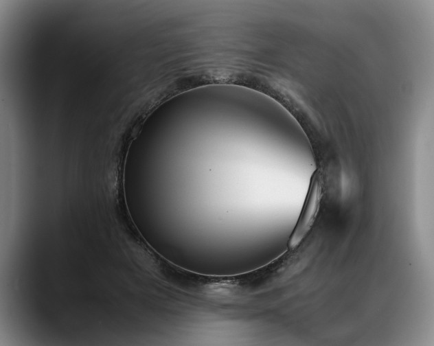 X0000088480505200705291630