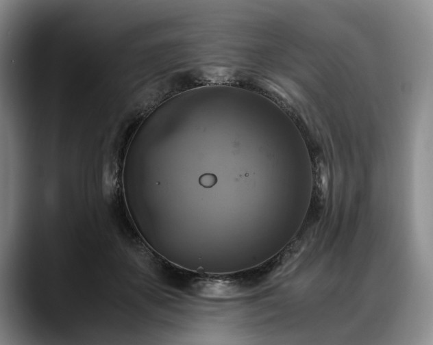 X0000088480507200705291630