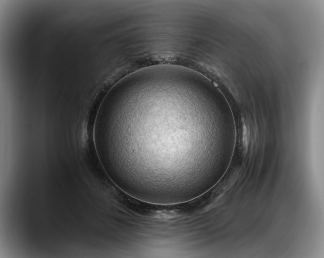 X0000088480508200705291630
