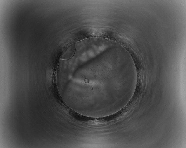 X0000088480511200705291630