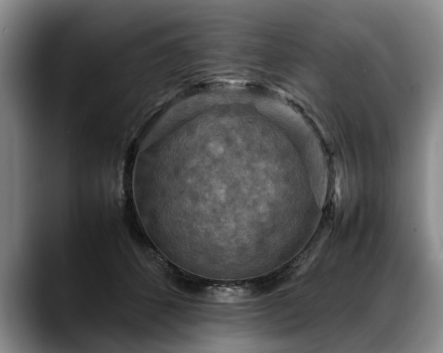 X0000088480512200705291630
