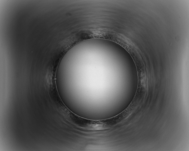 X0000088480514200705291630