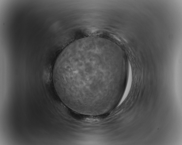 X0000088480515200705291630