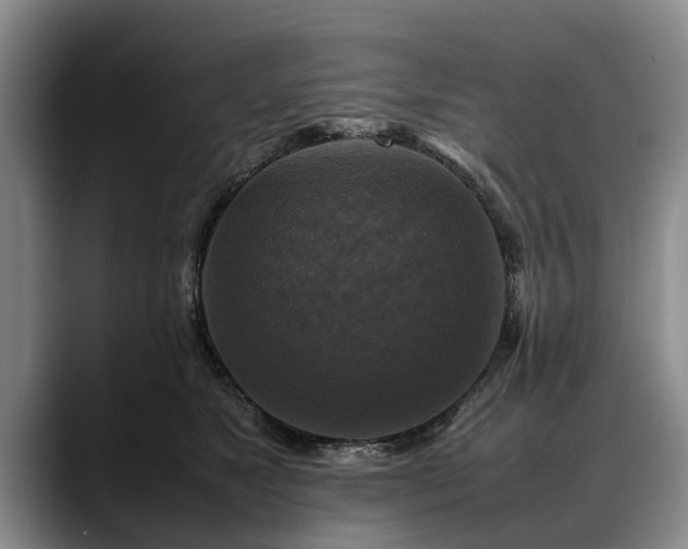 X0000088480517200705291630