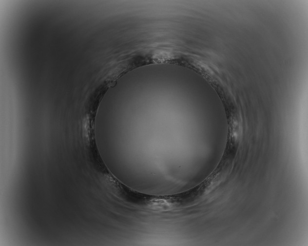 X0000088480519200705291630
