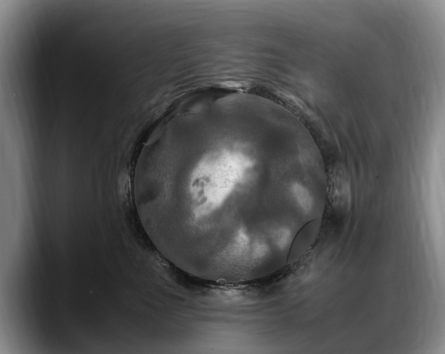 X0000088480523200705291630