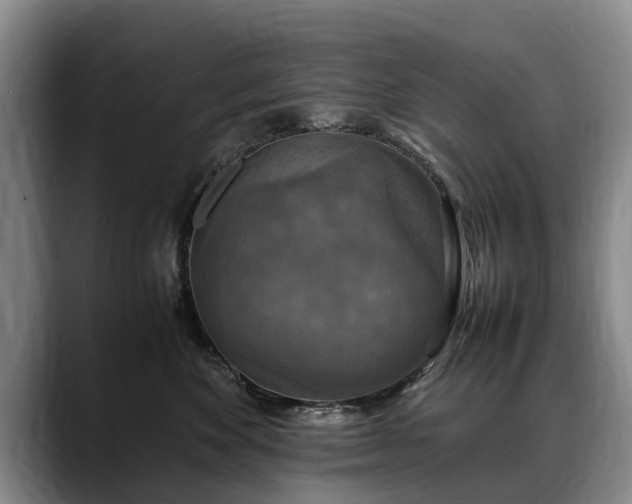 X0000088480524200705291630