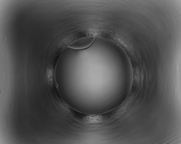 X0000088480526200705291630