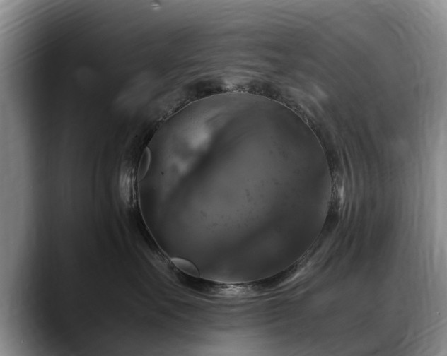 X0000088480527200705291630