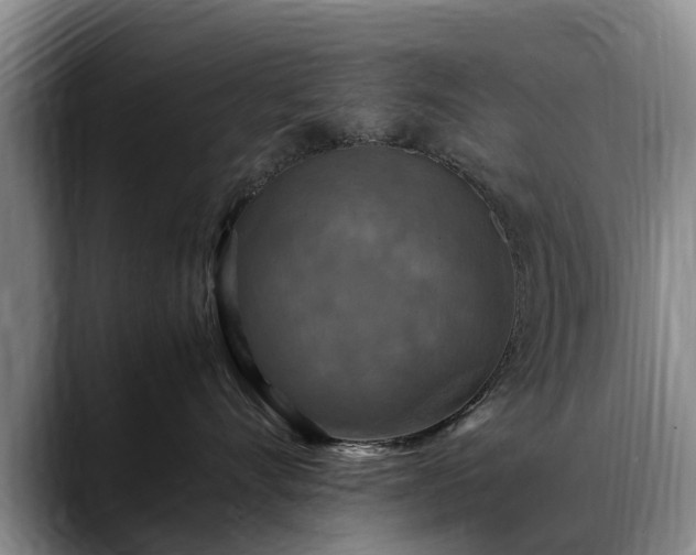 X0000088480528200705291630