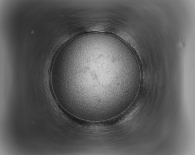 X0000088480529200705291629