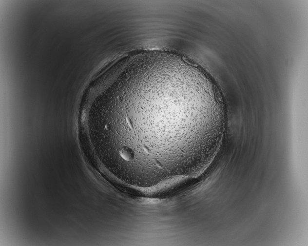 X0000088480530200705291629