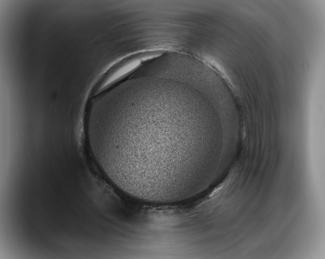 X0000088480532200705291629