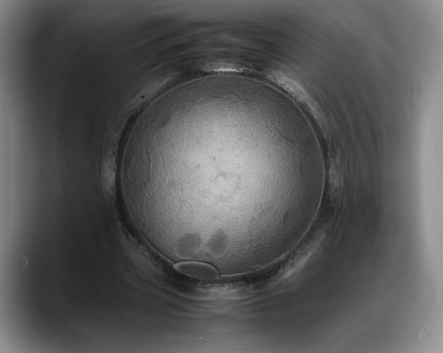 X0000088480533200705291629