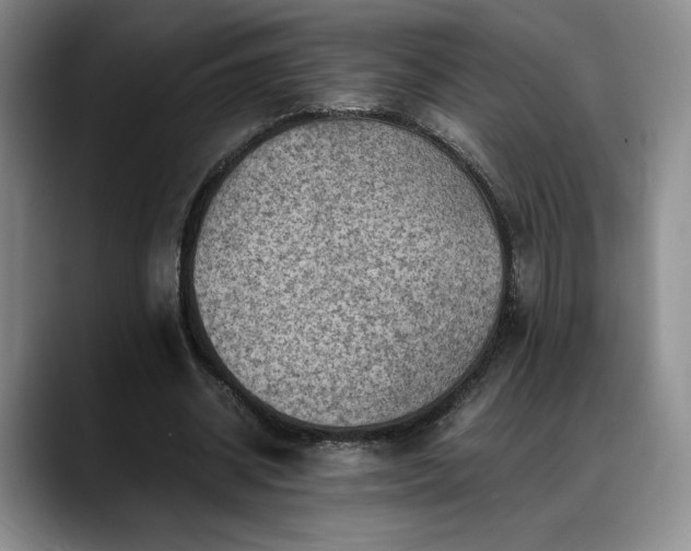 X0000088480534200705291629