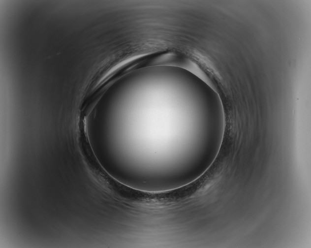 X0000088480538200705291629