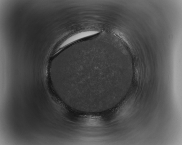 X0000088480539200705291629