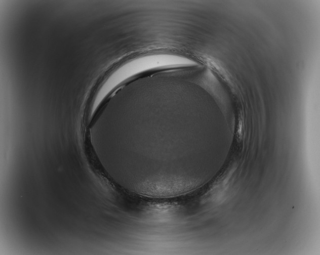 X0000088480540200705291629
