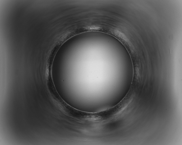 X0000088480541200705291629
