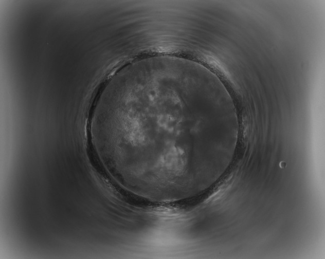 X0000088480542200705291629