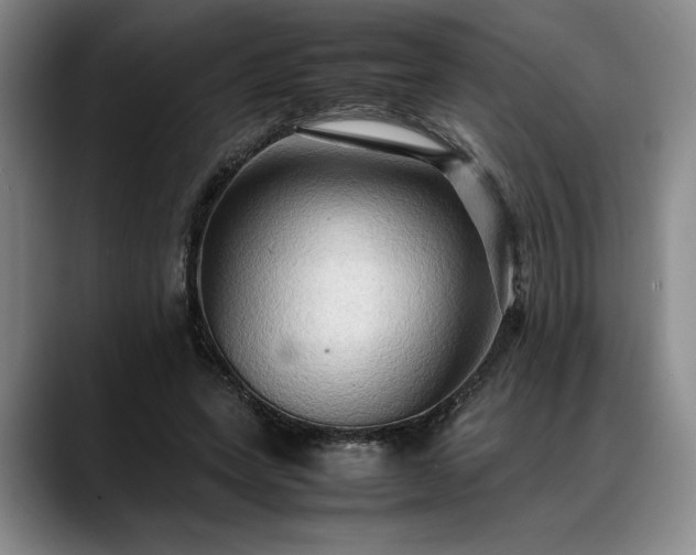 X0000088480543200705291629