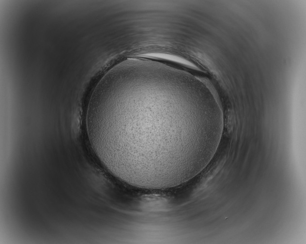 X0000088480544200705291629