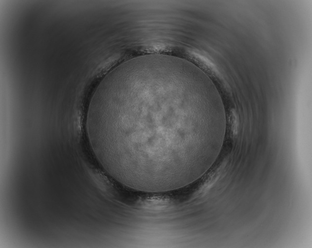 X0000088480546200705291629