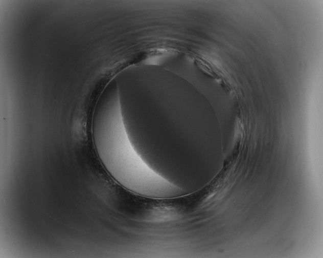 X0000088480547200705291629