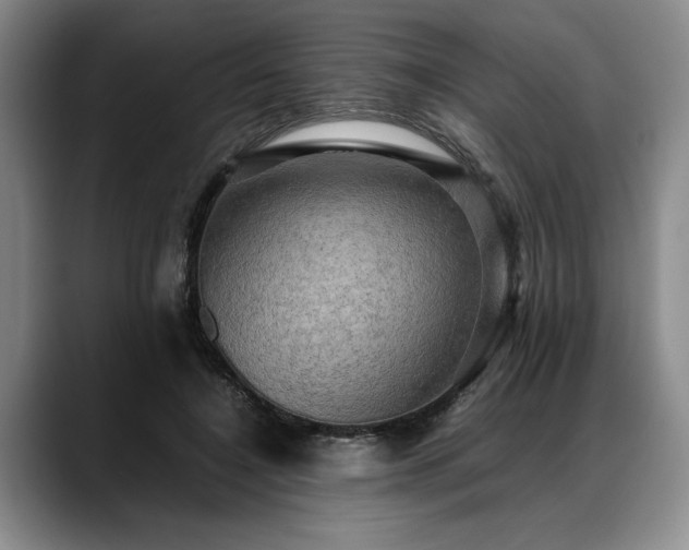 X0000088480548200705291629