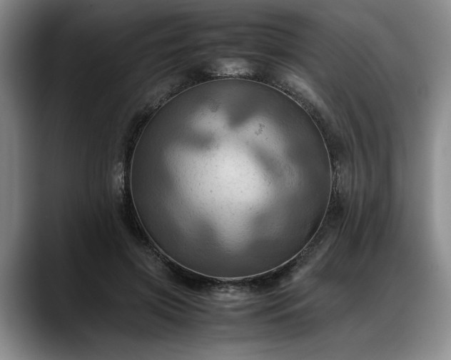 X0000088480549200705291629