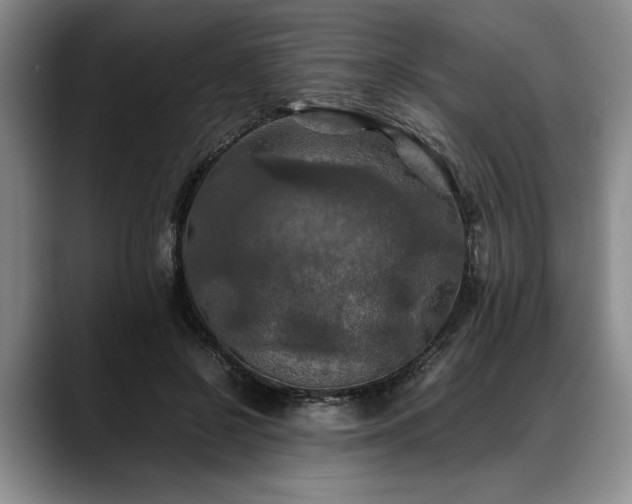 X0000088480550200705291629