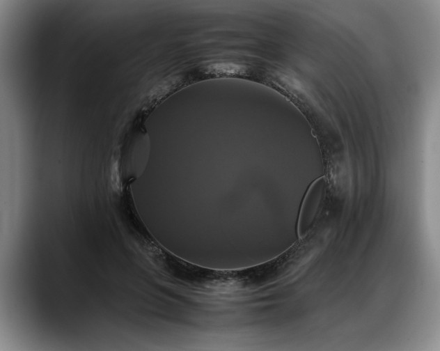 X0000088480551200705291629