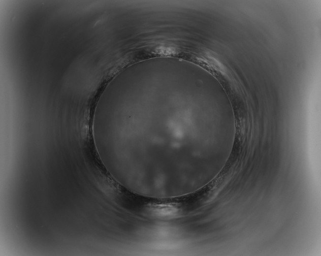 X0000088480553200705291629